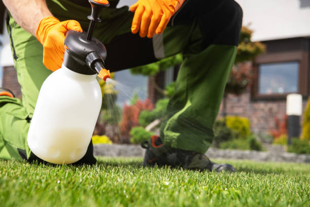 Best Local Pest Control Services  in Goshen, AR