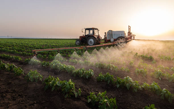 Best Mosquito Control Services  in Goshen, AR