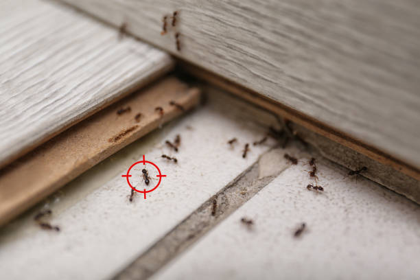 Best Wildlife Control Services  in Goshen, AR