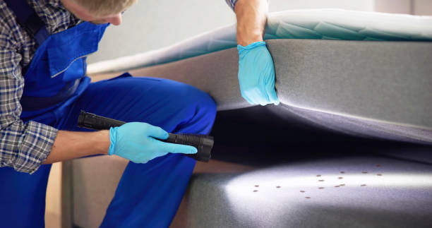 Best Cockroach Control Services  in Goshen, AR