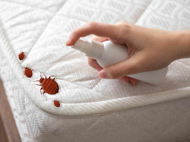 Flea Control Services in Goshen, AR