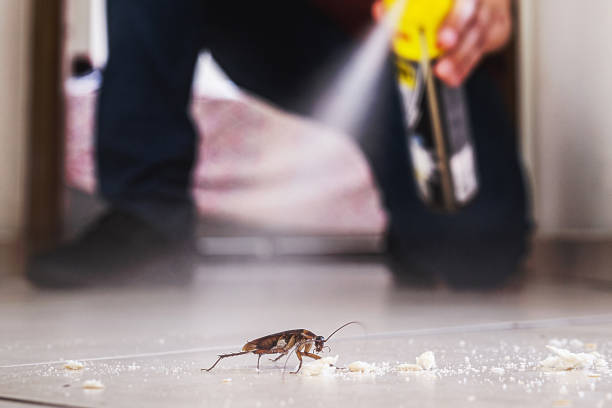 Best Wasp Removal Services  in Goshen, AR