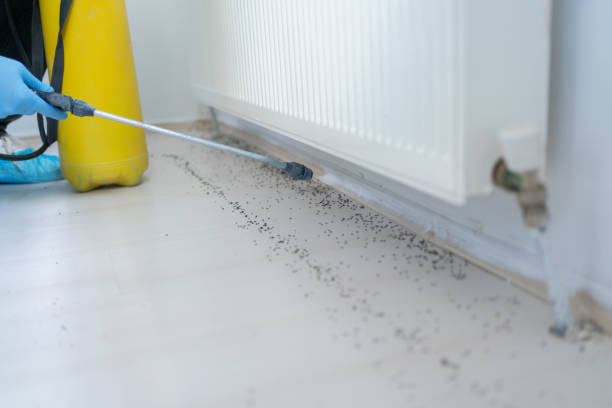 Best Pest Control Near Me in Goshen, AR
