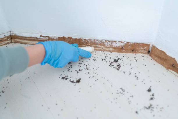 Best Pest Inspection Near Me  in Goshen, AR