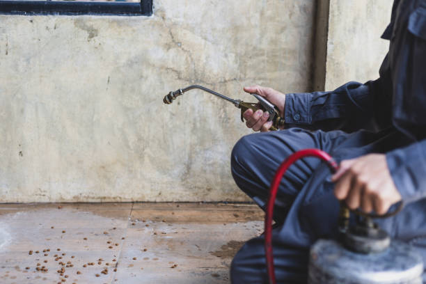 Best Exterminator Services  in Goshen, AR