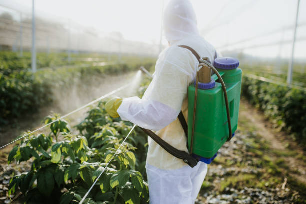 Professional Pest Control in Goshen, AR